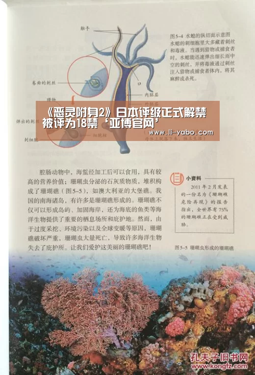 亚博体育
